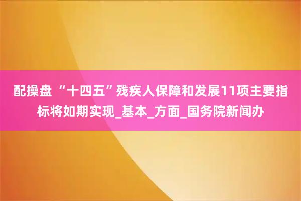 配操盘 “十四五”残疾人保障和发展11项主要指标将如期实现_基本_方面_国务院新闻办
