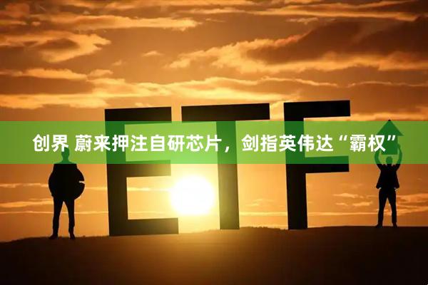 创界 蔚来押注自研芯片，剑指英伟达“霸权”