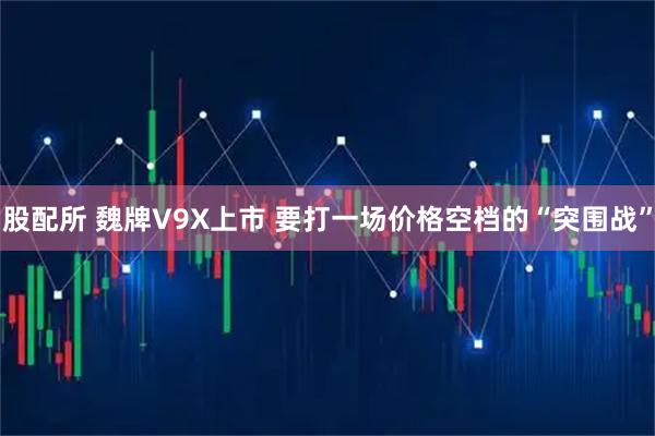 股配所 魏牌V9X上市 要打一场价格空档的“突围战”