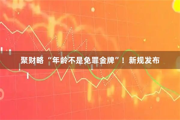 聚财略 “年龄不是免罪金牌”！新规发布