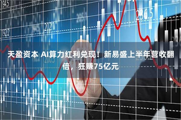 天盈资本 AI算力红利兑现！新易盛上半年营收翻倍，狂赚75亿元